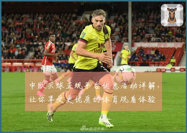 中欧买球正规平台优惠活动详解，让你享受更优质的体育观看体验