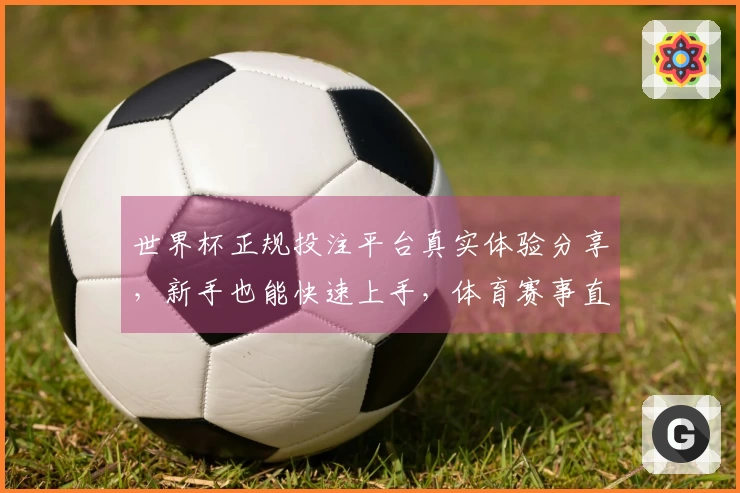 世界杯正规投注平台真实体验分享，新手也能快速上手，体育赛事直播一网打尽